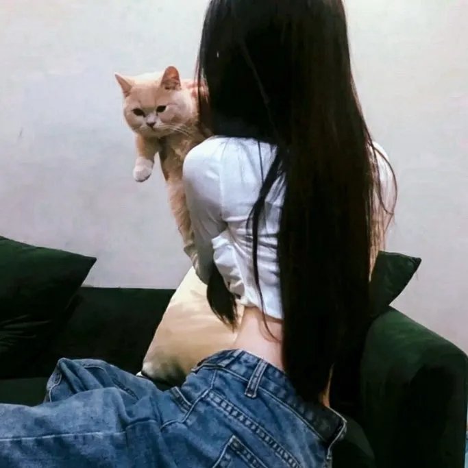 天上的风